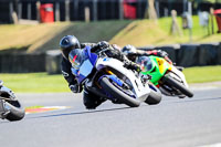 brands-hatch-photographs;brands-no-limits-trackday;cadwell-trackday-photographs;enduro-digital-images;event-digital-images;eventdigitalimages;no-limits-trackdays;peter-wileman-photography;racing-digital-images;trackday-digital-images;trackday-photos